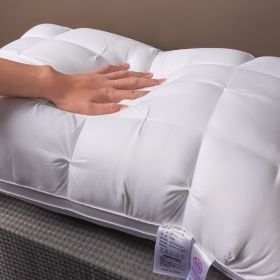 Whtie And Brown Premium Soft Luxury Bed Pillows - Queen-Sized Hypoallergenic Polyester Cover - Ergonomic Design For Back, Stomach Or Side Sleeper (Option: White)